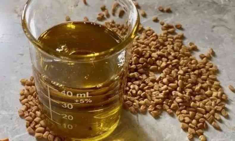 Carrier Oils