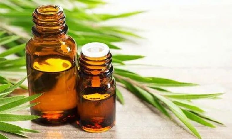Who is largest manufacturer of Essential Oils in India