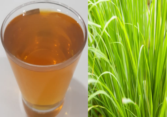 Lemongrass Essential Oil