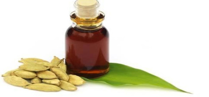 Cardamom Essential Oil