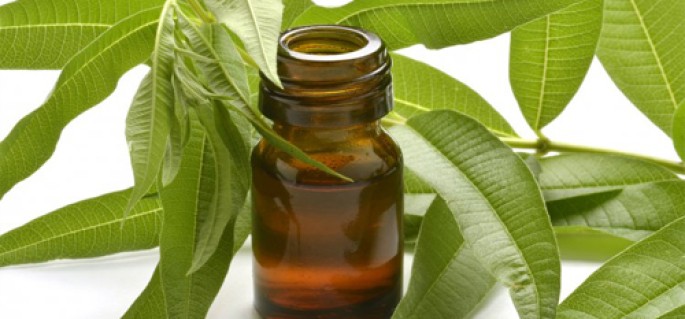 Citronella Essential Oil