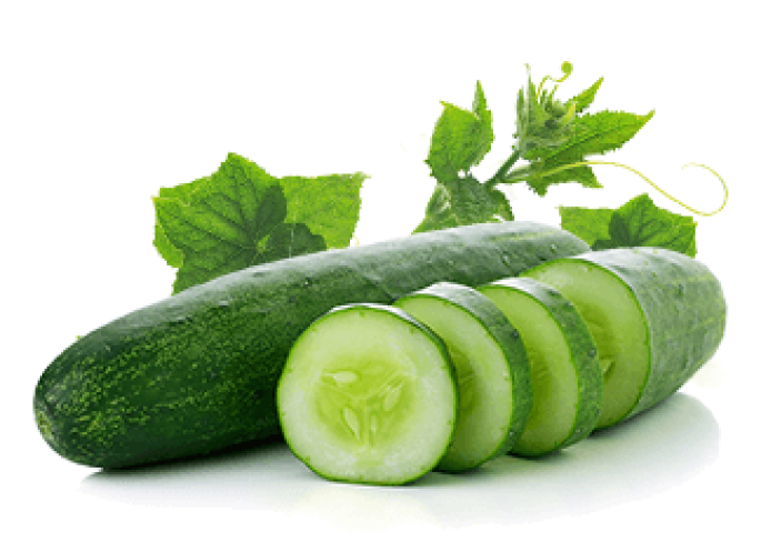 Cucumber Extract (WATER SOLUBLE)
