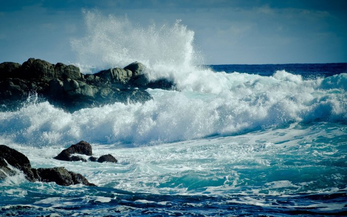 Ocean Wave Fragrance