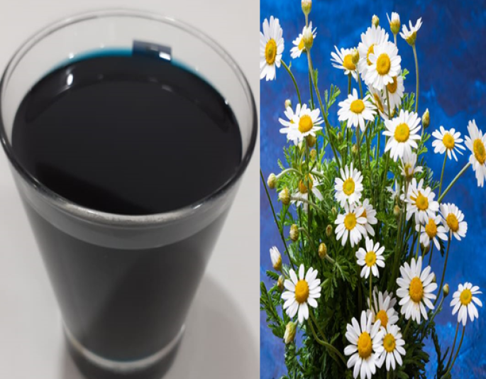Chamomile Blue Essential Oil (Cosmetic)