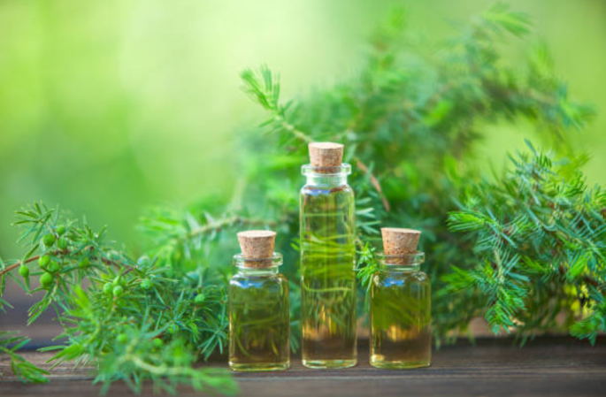 Tea Tree Hydrosol