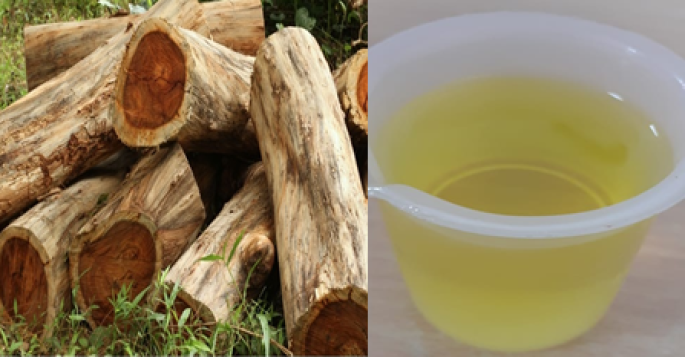 Rosewood (India) Essential Oil
