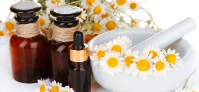 Chamomile Essential Oil Roman