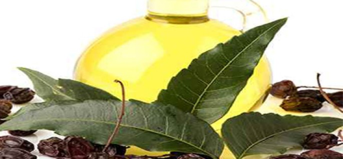 Neem Oil