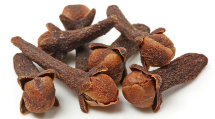Clove Bud Hydrosol
