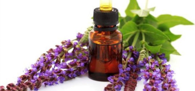 Sage (Indian) Essential Oil