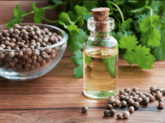 Coriander Essential Oil