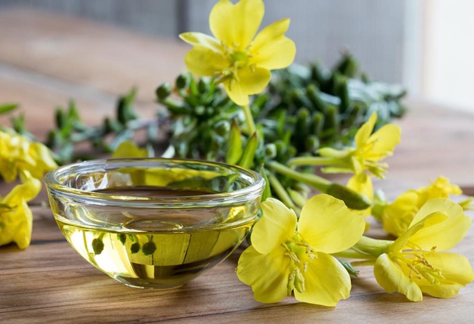 Evening Primrose