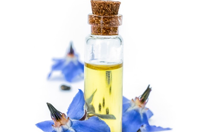 Borage Oil