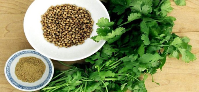 Coriander Essential Oil (Cosmetic)