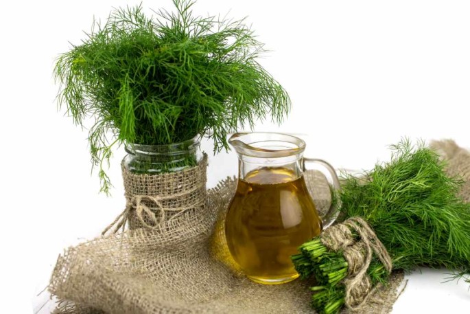 Dill Essential Oil