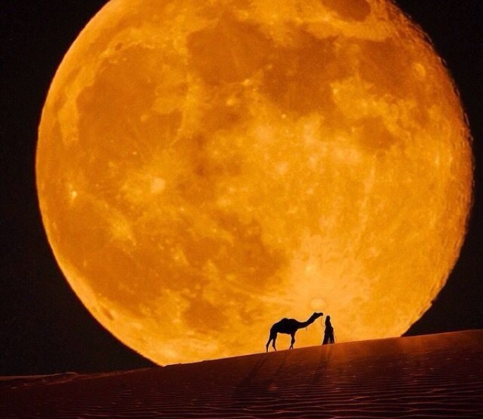 Desert Moon Fragrance