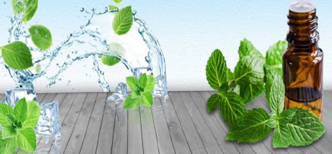 Spearmint Essential Oil