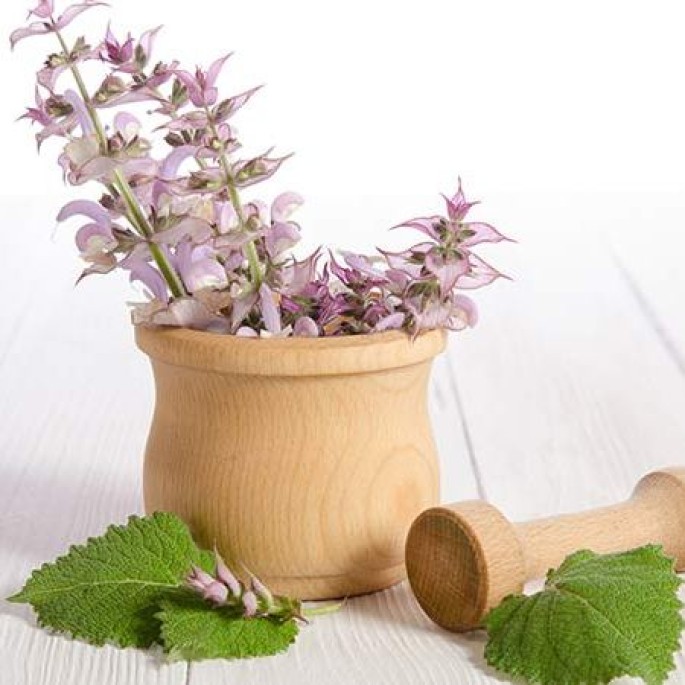 Clary Sage Hydrosol