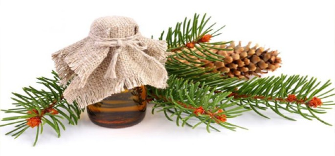 Fir Needle Essenntial Oil (Siberia)