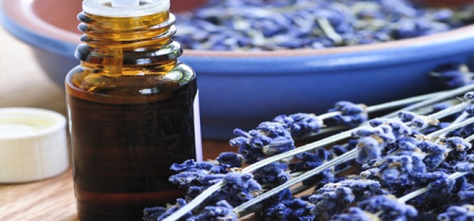 Lavender – Bulgarian Essential Oil