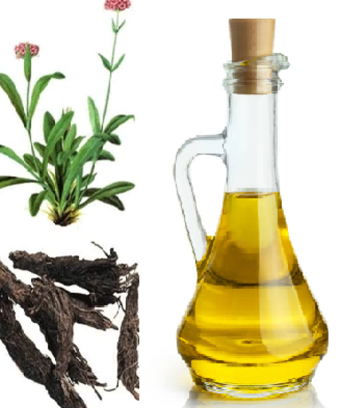Jatamansi Extract (WATER SOLUBLE)