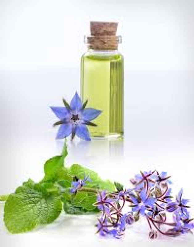 Borage Oil