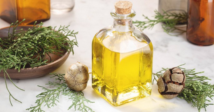 Cypress Essential Oil