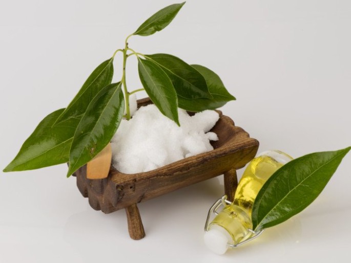Camphor Hydrosol