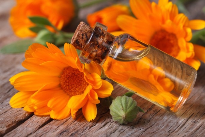 Calendula Essential Oil (Infused)