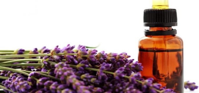 Lavender – French Essential Oil