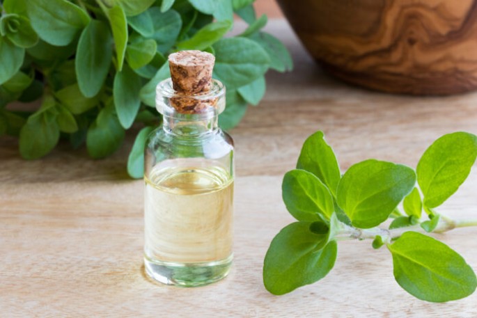 Marjoram Essential Oil