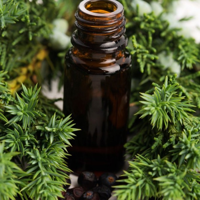 Juniper Berry Essential Oil