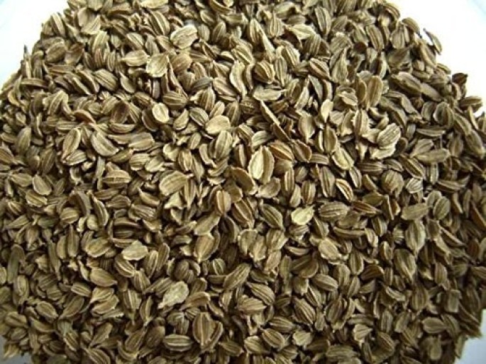 Carrot Seed Oil (Cosmetic)