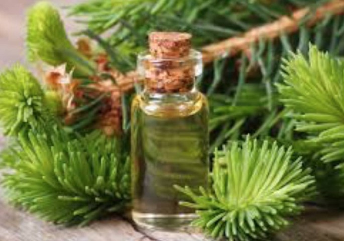 Cedarwood Hydrosol