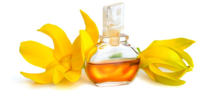 Ylang Ylang Hydrosol