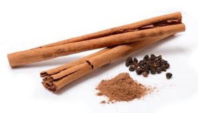 Cinnamon Bark Essential Oil (Cosmetic)