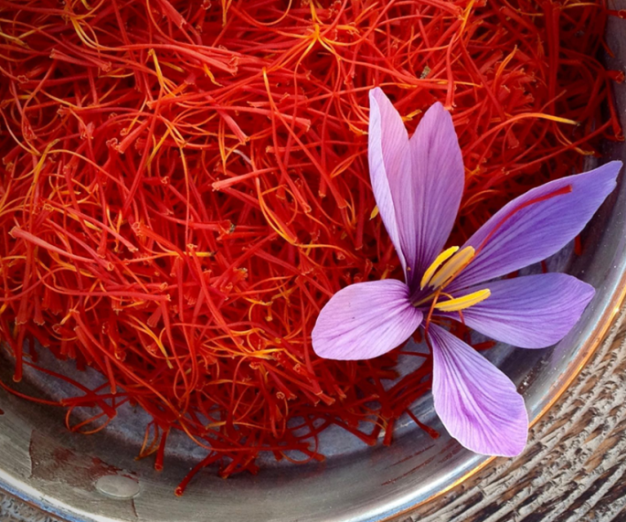 Saffron Essential Oil