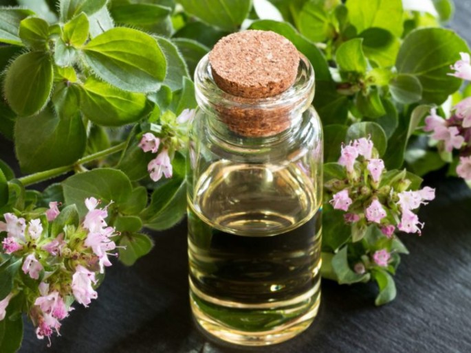 Oregano Essential Oil