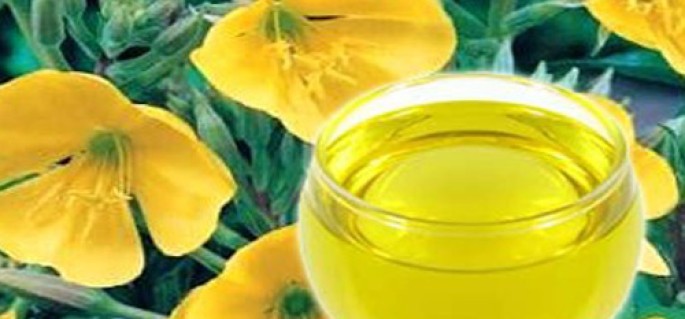Evening Primrose