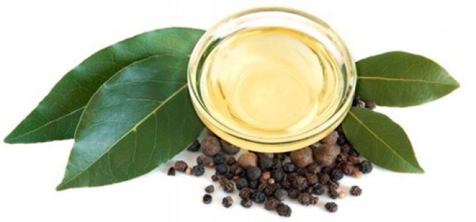 Bay Leaf Essential Oil