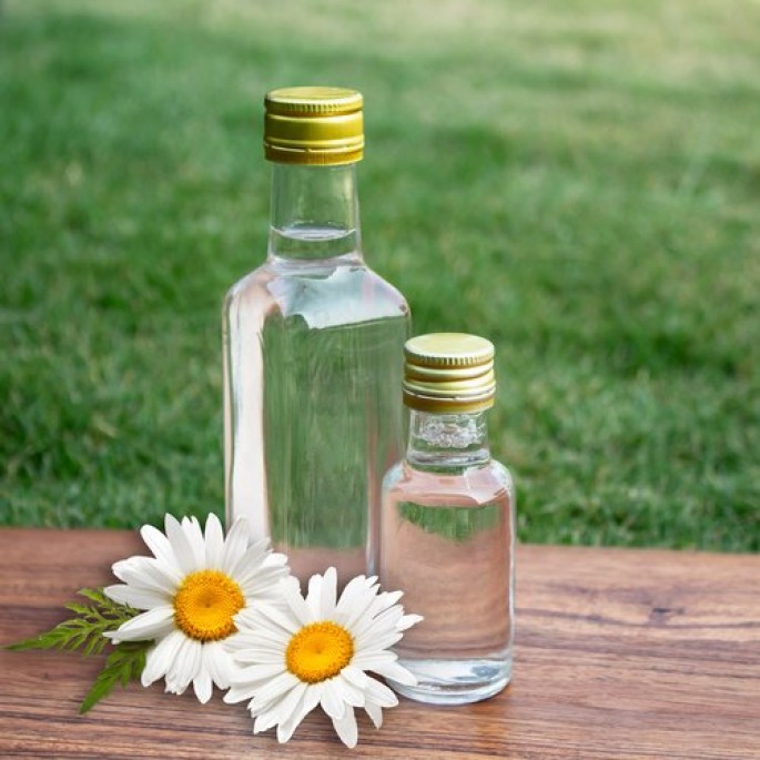 Chamomile Blue Hydrosol
