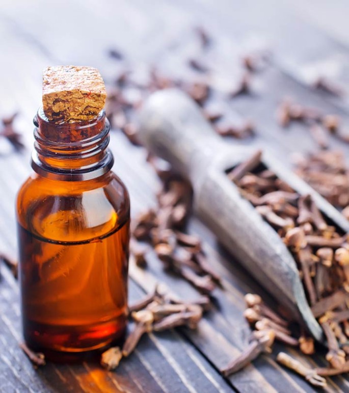 Clove Bud Essential Oil