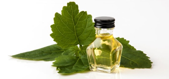 Patchouli Hydrosol